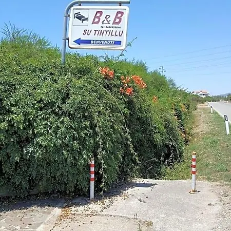 Su Tintillu