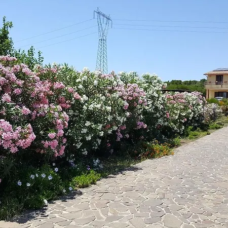 فندق مبيت وإفطار Su Tintillu غونيسا