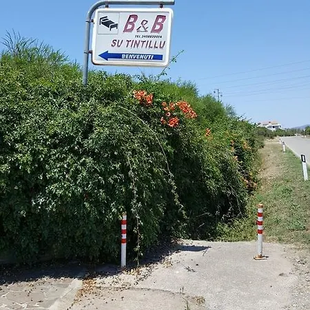 Su Tintillu