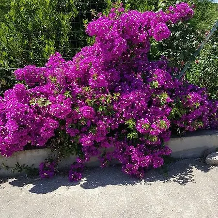 Su Tintillu 3* Gonnesa